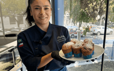 Horno HPE80: Optimiza la producción de muffins con tecnología de convección